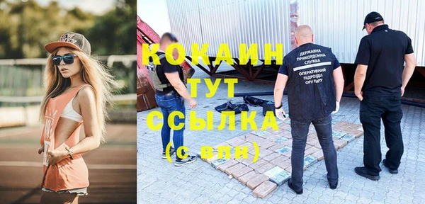бошки Аркадак