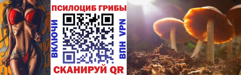 Псилоцибиновые грибы Psilocybe Купить где Сосенский
